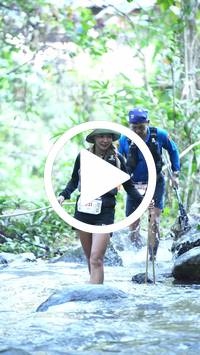 BIB:  <button type="button" onclick="openModal(26829547)" class="btn btn-primary btn-sm float-right" data-toggle="modal" data-target=".modal-high-quality">
                <i class="fa fa-download"></i> Download
                </button>